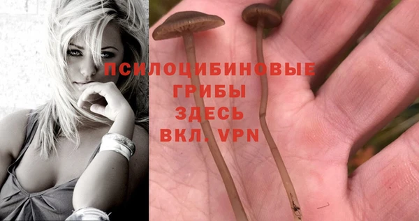 спайс Алексеевка