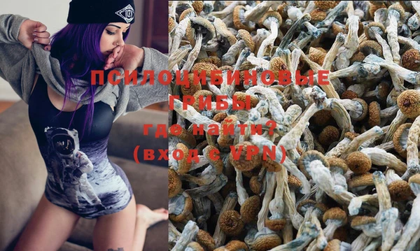 дживик Аркадак