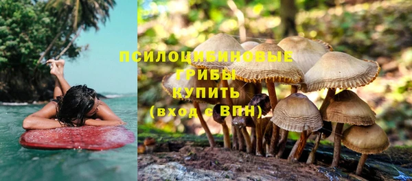 соль курить ск Зерноград
