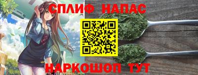 крисы Беслан