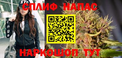 крисы Беслан