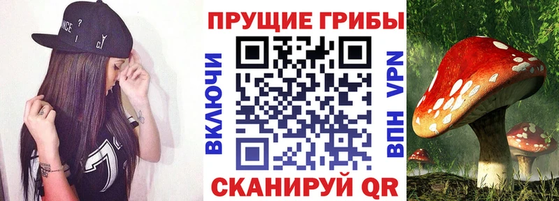 Галлюциногенные грибы GOLDEN TEACHER  Архангельск 