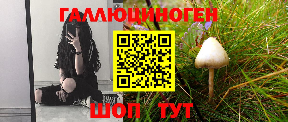 Архангельск  Псилоцибиновые грибы GOLDEN TEACHER  Вход с VPN  Галлюциногенные грибы прущие грибы 
