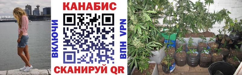 гидра маркетплейс  Архангельск  Конопля SATIVA & INDICA 